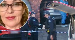 Tributes flow for 'irreplaceable' Brisbane mother after stabbing