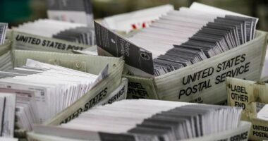 Trump Hates Mail-In Voting—But Most Americans Disagree With Him
