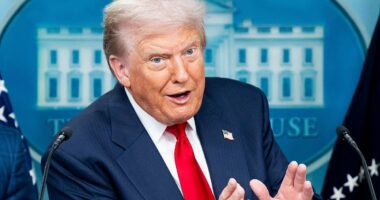 Trump exempts gold from all tariffs sending supporters wild