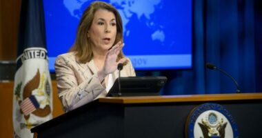 Trump nominates Tammy Bruce to UN deputy post