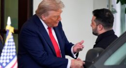 Trump pushes for Zelenskyy-Putin meeting in coming weeks
