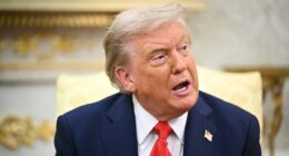 Trump slams 'anti-American' pushback over Arizona project