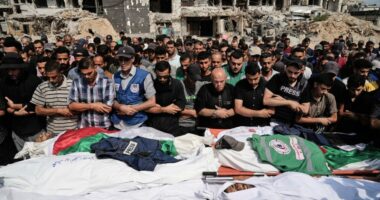 Trump supports Israel allowing journalists into Gaza