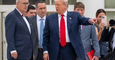 Trump takes an unexpected walk on the White House roof to survey new projects