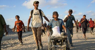 Trump's top advisers arrive in Gaza to assess humanitarian crisis