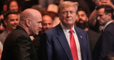 UFC fight coming to White House in 2026, Dana White says