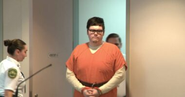 US man accused of killing mother seeks to represent himself