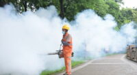 Urgent vaccine warning for China travellers as horror chikungunya virus outbreak goes on