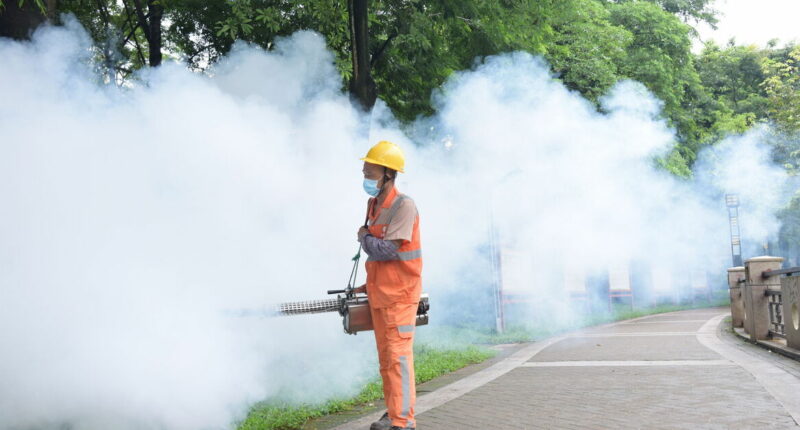 Urgent vaccine warning for China travellers as horror chikungunya virus outbreak goes on