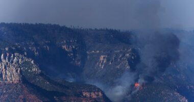 What to know about the current wildfires across the US
