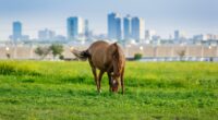 When The Government Takes Your Property, You Can Take It To Court