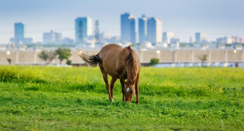When The Government Takes Your Property, You Can Take It To Court