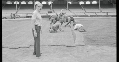 White Sox celebrate former owner Bill Veeck with wedding, 50-foot hot dog, petting zoo