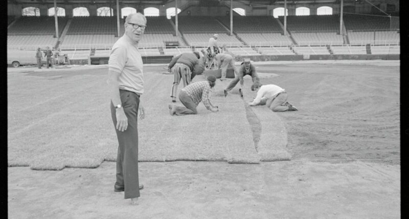 White Sox celebrate former owner Bill Veeck with wedding, 50-foot hot dog, petting zoo
