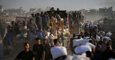 Witkoff, Huckabee to tour Gaza as humanitarian crisis worsens