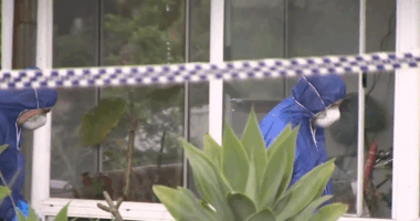 Woman stabbed to death in suspected DV attack