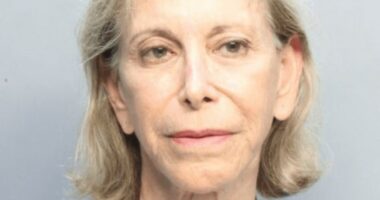 Mugshot of Donna Adelson.