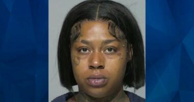 ‘Simply did not happen’: Mom’s Story Crushed in Court After Accusing Stepfather of Dropping Tot from Balcony
