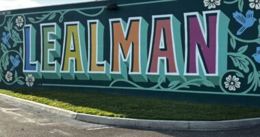 'Creative Pinellas' at risk of losing funding through county