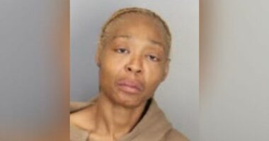 'I've always wanted kids': Woman charged with kidnapping father, 2 kids off street