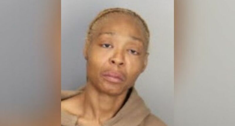 'I've always wanted kids': Woman charged with kidnapping father, 2 kids off street
