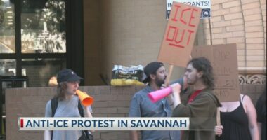 'ICE out of Savannah' rally on the steps of the old courthouse