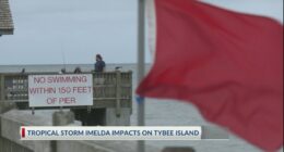 'Incredibly fragile': Tybee officials talk defense against strong storms