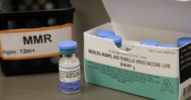 'Just devastating': Doctors react to Florida wanting to end vaccine mandates