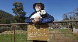 'Nothing holding him back': Dezi Freeman's mate hopes fugitive surrenders