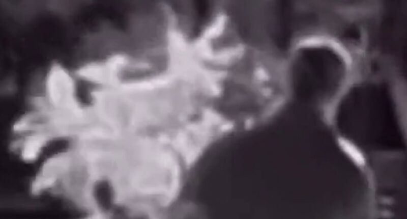 'Plant bandit' targets Bay Area neighborhood