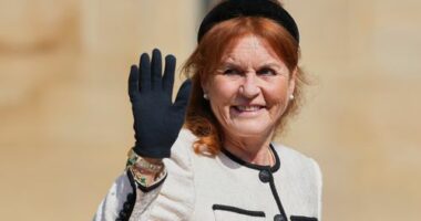 'Supreme Friend': Charities cut ties with Sarah Ferguson over email to Jeffrey Epstein