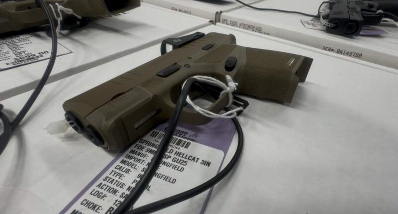 'The laws apply to you': Tampa Bay firearm instructors weigh in on open carry