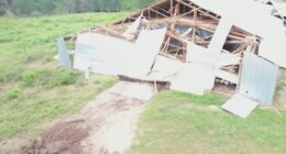 1 year after Hurricane Helene, Georgia farmers still await federal relief