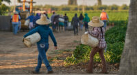 1.2 million immigrants are gone from the US labor force under Trump: preliminary data