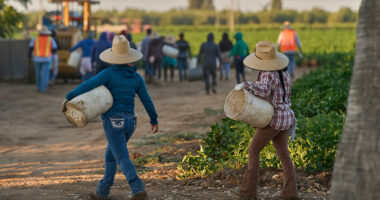 1.2 million immigrants are gone from the US labor force under Trump: preliminary data