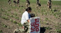 1.2M immigrants are gone from the US labor force under Trump, preliminary data shows