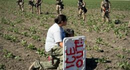 1.2M immigrants are gone from the US labor force under Trump, preliminary data shows
