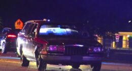 2 pedestrians struck, killed by vehicle in Brevard County, troopers say