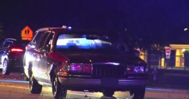2 pedestrians struck, killed by vehicle in Brevard County, troopers say
