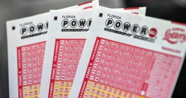 2 split $1.8 billion jackpot, $1 million ticket sold in New Port Richey