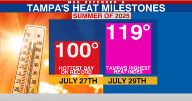 2025 was one of Tampa's hottest summers on record
