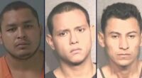 3 high-level MS-13 members will spend decades behind bars