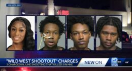 3 teens charged in shootout that killed aspiring nurse: Cops
