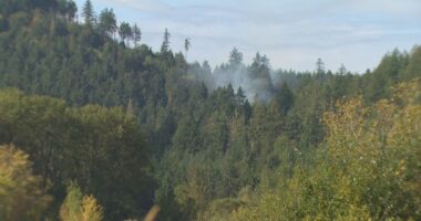 4 Army soldiers killed in WA helicopter crash identified