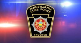 5 Pennsylvania children rescued from 'dungeon' inside home: State Police