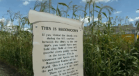 54th Annual Broom Corn Festival underway in Arcola