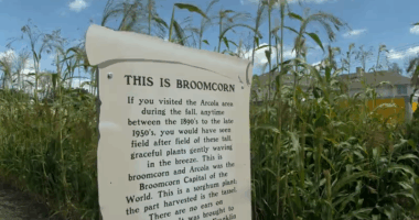 54th Annual Broom Corn Festival underway in Arcola
