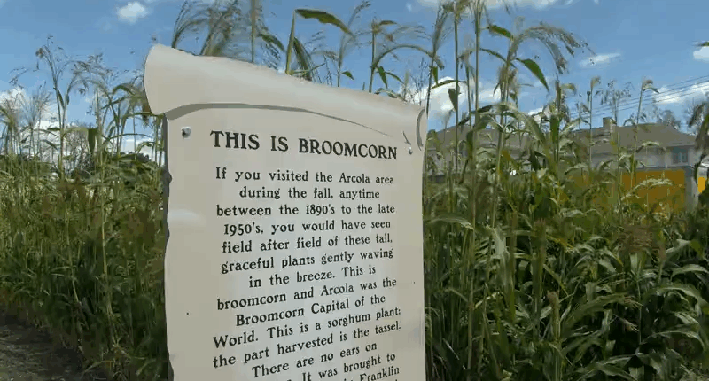 54th Annual Broom Corn Festival underway in Arcola