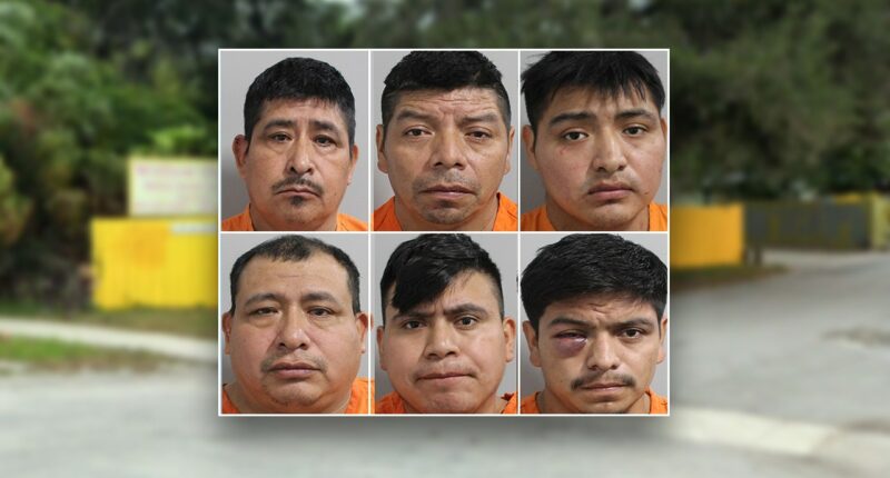 6 Guatemalans in US illegally arrested during investigation for deadly hit-and-run at trailer park