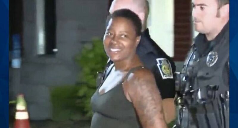 7-Year-Old AMBER Alert Boy Found Injured with Signs of Torture, Mother Arrested with Gun in Her Lap
